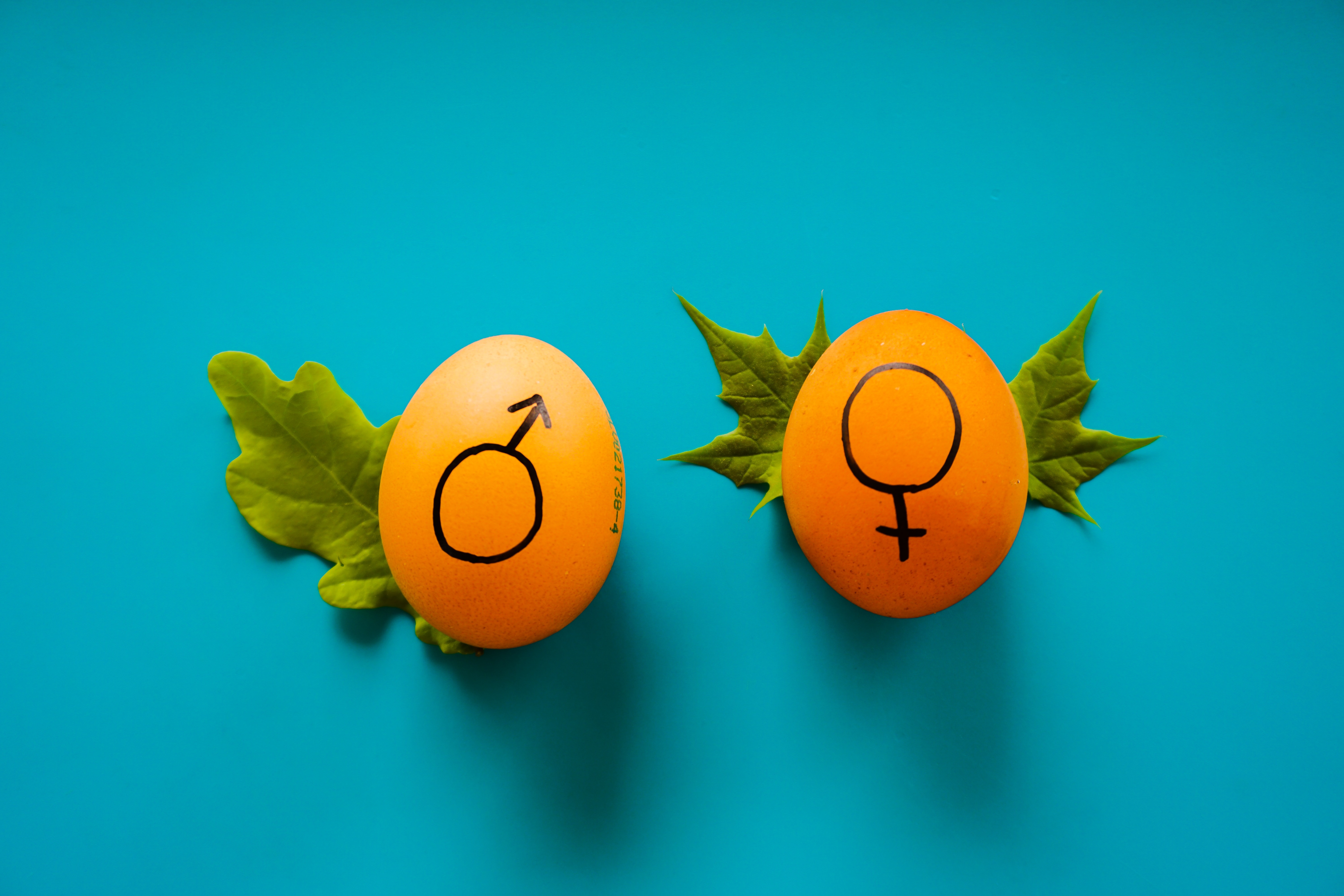 Impulso De La Igualdad De Oportunidades Entre Hombres Y Mujeres (MF1026_3)